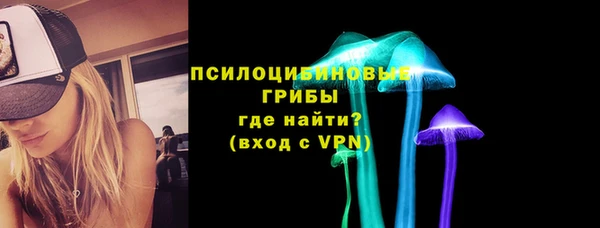 гашик Белоозёрский