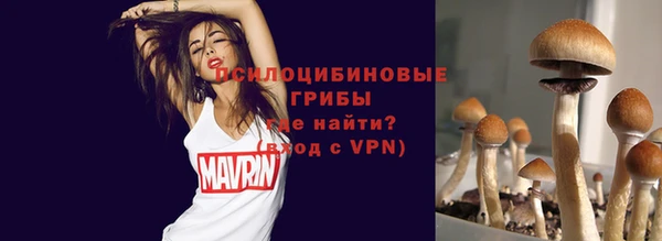 mdpv Белокуриха