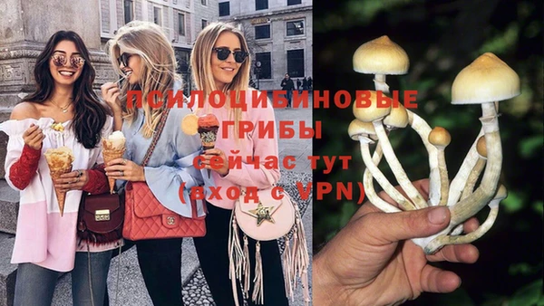 каннабис Беломорск
