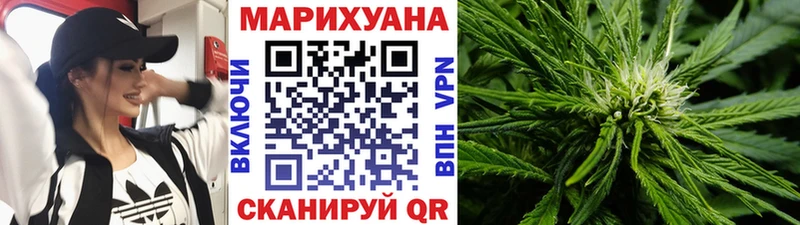 Купить где  Лесной  Шишки марихуана конопля 